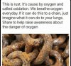 FB_IMG_1758598104491.jpg