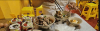 upload_2025-9-23_15-29-15.png
