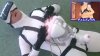 upload_2025-9-23_16-7-32.jpeg