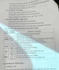 upload_2025-9-24_13-18-39.png