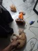 IMG_9205.jpeg