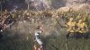 videoframe_22794.jpg