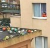 IMG_9229.jpeg