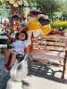 IMG_0844.jpeg