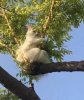 IMG_9251.jpeg