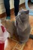 IMG_9260.jpeg
