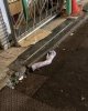 IMG_0897.jpeg