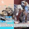 FB_IMG_1759480495160.jpg