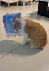 FB_IMG_1759582304616.jpg