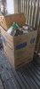 20251004_191634.jpeg