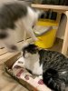 FB_IMG_1759757251369.jpg