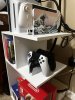 IMG_4283.jpeg