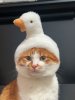 IMG_9439.jpeg