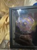 IMG_5283.jpeg