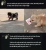FB_IMG_1760231988236.jpg