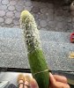 IMG_8422.jpeg