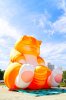 IMG_9497.jpeg