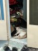 IMG_1052.jpeg
