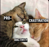 upload_2025-10-15_16-13-24.png