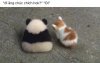 IMG_1056.jpeg