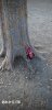 upload_2025-10-16_19-0-10.jpeg