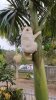 IMG_9587.jpeg
