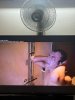 IMG_1074.jpeg