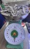 IMG_1551.jpeg