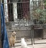 IMG_1078.jpeg