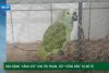 FB_IMG_1760705216836.jpg