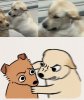 IMG_1086.jpeg