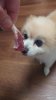 received_4300580900214415.jpeg