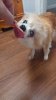 received_1347397653697741.jpeg