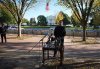 IMG_9617.jpeg