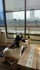 IMG_0195.jpeg