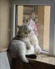 IMG_9625.jpeg