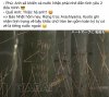 IMG_1145.jpeg