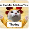 IMG_1636.jpeg