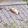 IMG_1155.jpeg