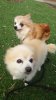 received_826342716417336.jpeg