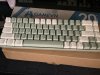 IMG_4092.jpeg