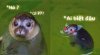 upload_2025-10-27_3-50-41.jpeg
