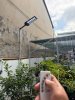 IMG_2234.jpeg