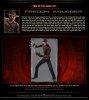 FireShot Screen Capture #181 - 'Mortal Kombat 2011 - Official Website Developer By MKVN' - file_.jpg