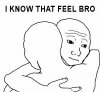 2246901-i-know-that-feel-bro.jpg