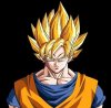 ssj2-goku-10281032-416-408.jpg