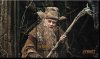 Radagast-Miniature-Sheet-e1349458922556.jpg