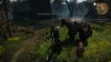 witcher3 6-22-2015 4-20-31 PM-150.jpg