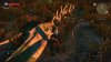 witcher3 6-22-2015 5-06-29 PM-814.jpg