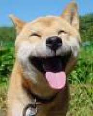 Ninokyox
